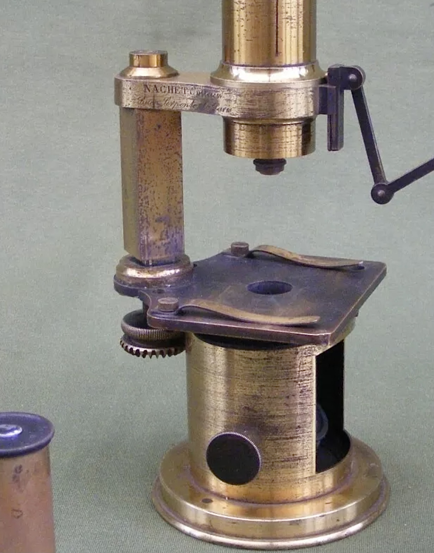 Figura 3. Modelo evolucionado de Nachet.