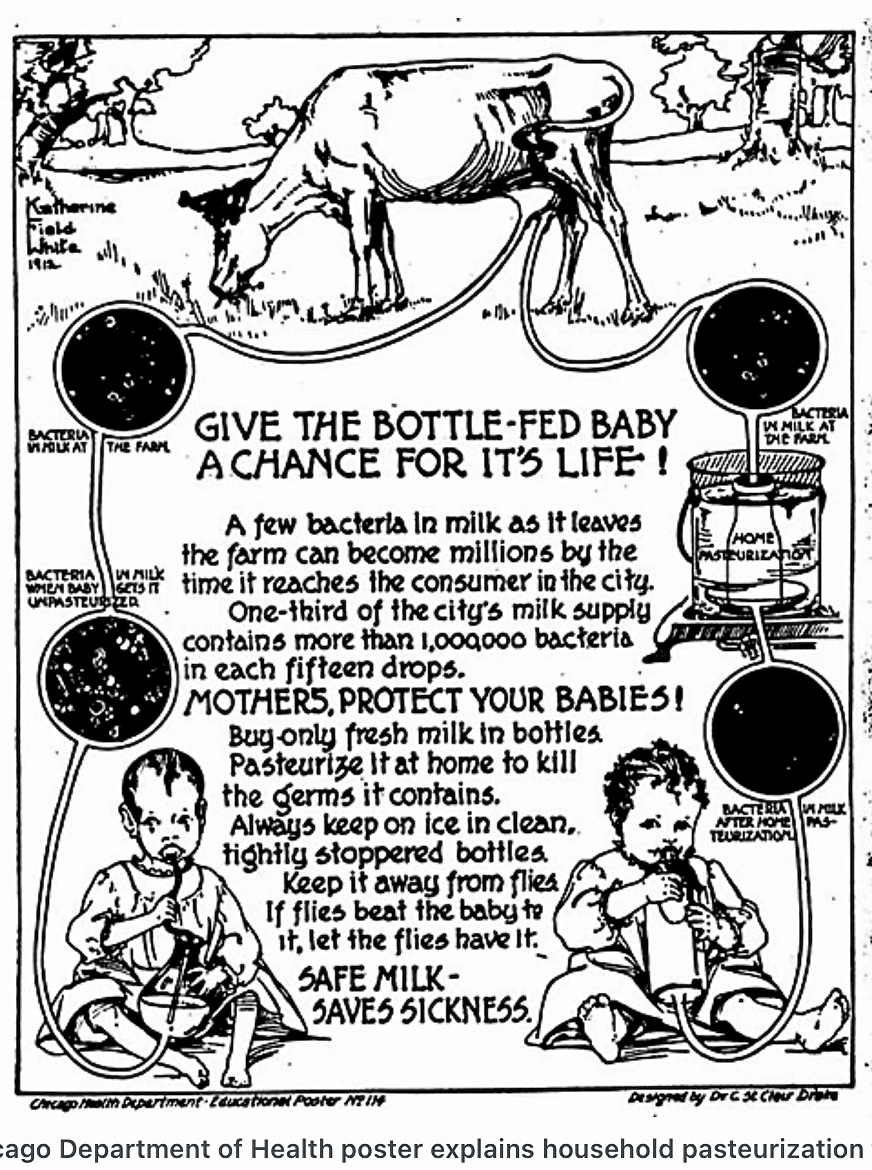 Póster sobre el proceso de pasteurización de Pasteur