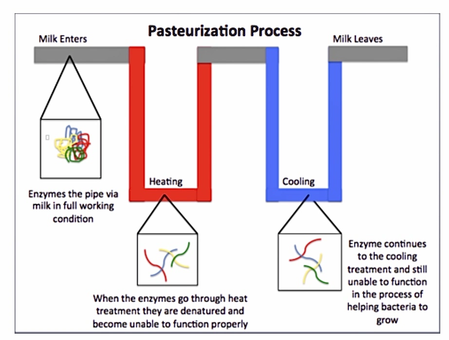 Proceso de pasteurización Proceso de pasteurización