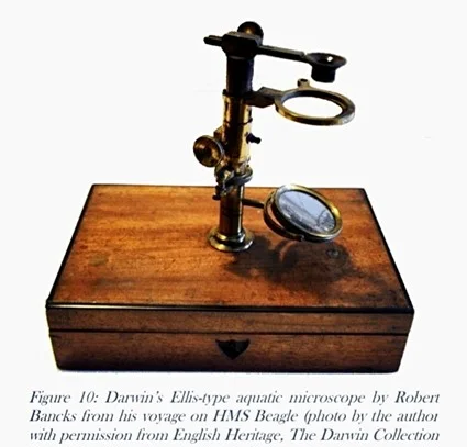 Pequeño modelo acuático de Ellis