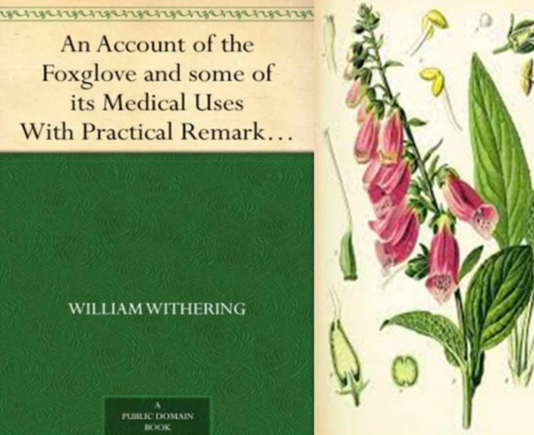 Portada de su libro sobre las plantas de Gran Bretaña. 1776